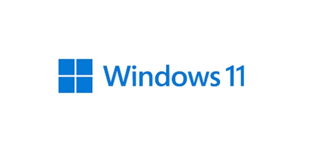 WINDOWS 11 Logo